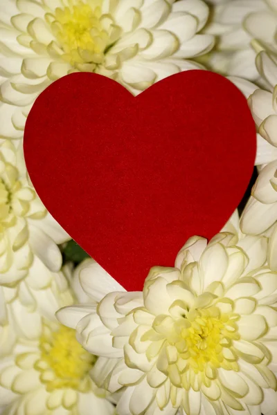 Srdce na pozadí bílých květů — Stock fotografie