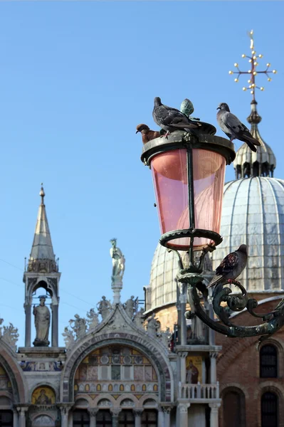 Lumières roses sur la Piazza San Marco, Venise, Italie — Photo