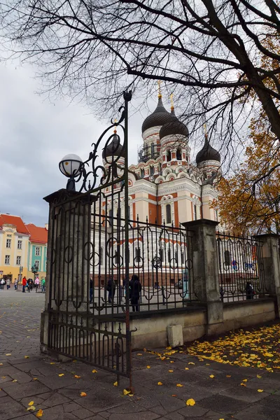 公园在塔林的亚历山大涅夫斯基大教堂。爱沙尼亚. — 图库照片