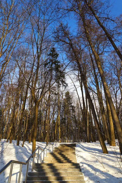 Scala nel parco invernale — Foto Stock