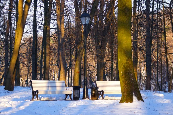 Panchina nel parco invernale — Foto Stock