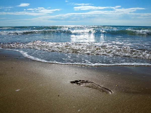 Trail foot on the wet sand of the seashore — Stock Photo, Image