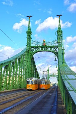Özgürlük Köprüsü Budapeşte, Macaristan