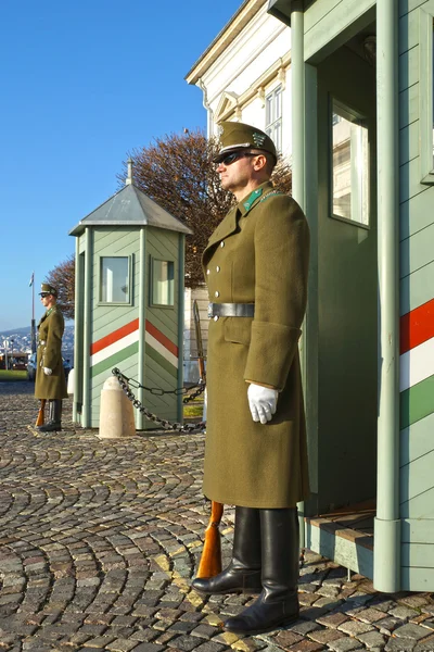 布达佩斯，匈牙利-1 月 06： 哨兵的总统 palac — 图库照片