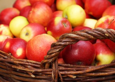 Olgun elma sepeti