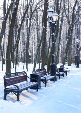 Kış parkındaki banklar