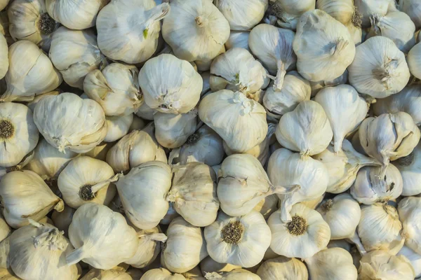 Garlic in bulk — Stock Photo, Image