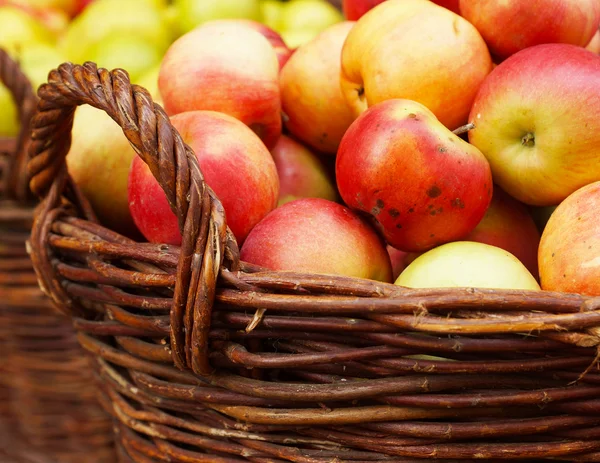 Manzanas maduras en la cesta — Foto de Stock