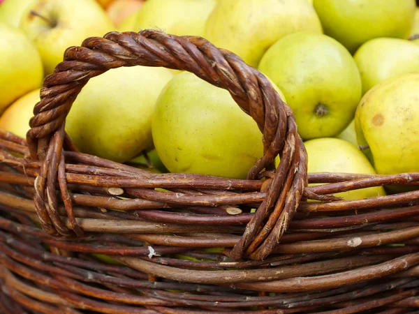 Manzanas maduras en la cesta — Foto de Stock