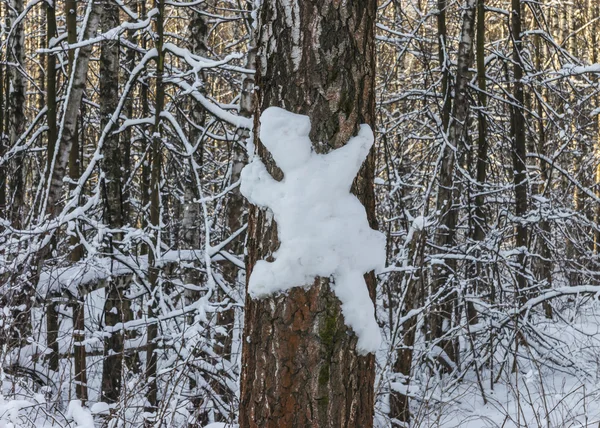 Drzewa w lesie zimowym — Zdjęcie stockowe