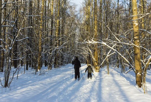 Gita sugli sci nella foresta invernale — Foto Stock