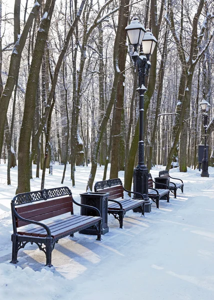 Panchine nel parco invernale — Foto Stock