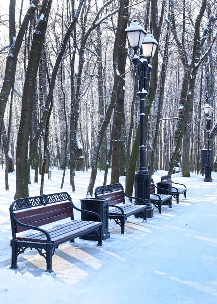 Panchine nel parco invernale — Foto Stock