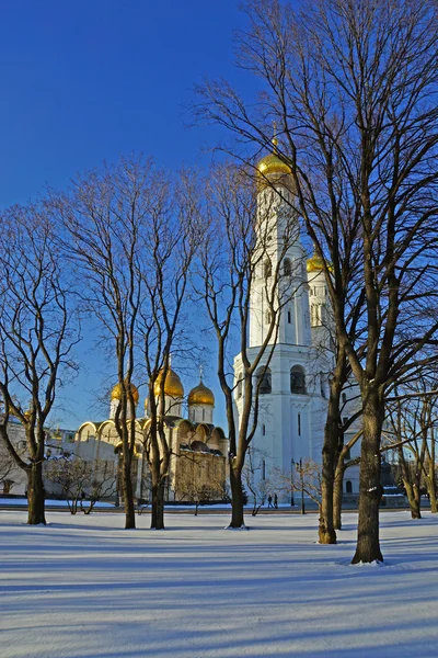 Ensemble of Moscow Cremlino, Russia — Foto Stock