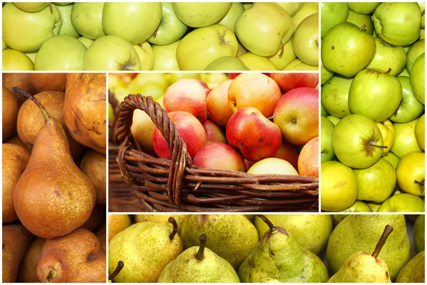 Collage of ripe apples and pears — Stock Photo, Image