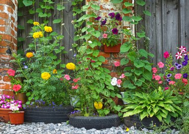flowerbed parlak renkler