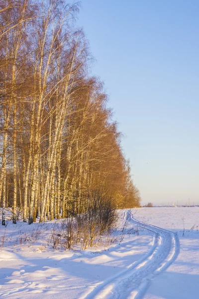 Winter weg in een veld bij zonsopgang — Stockfoto