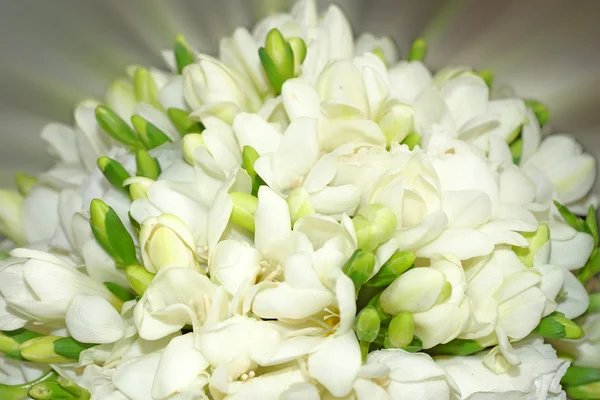 Beautiful bouquet of white flowers — Stock Photo, Image