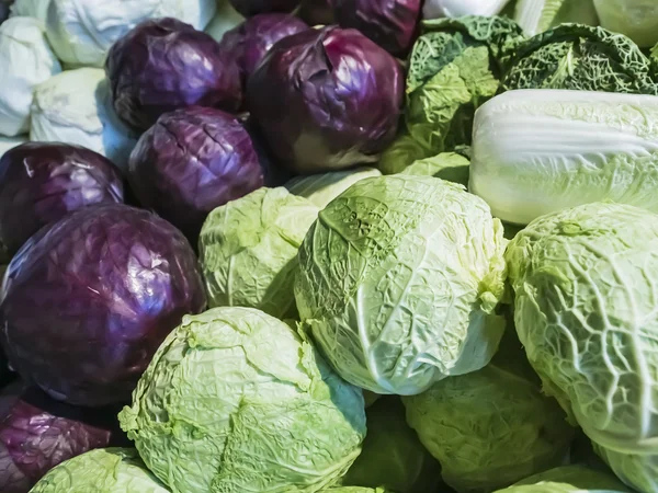 Colored cabbage — Stock Photo, Image