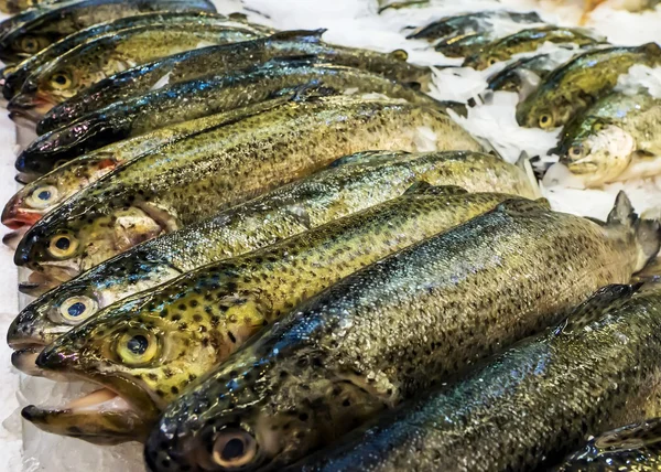 Pesce sugli scaffali dei negozi — Foto Stock