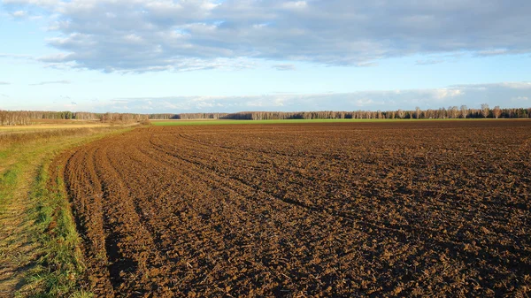 Teren agricol după cultivare, seara de toamnă — Fotografie, imagine de stoc