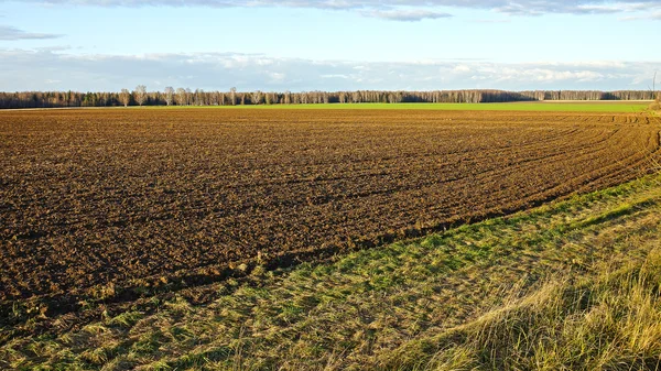 Tierras agrícolas después del cultivo, tarde de otoño —  Fotos de Stock