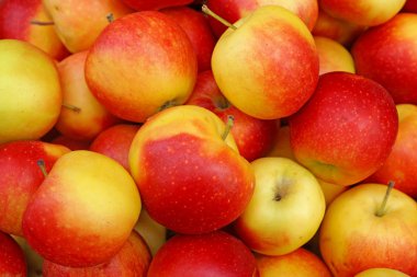 bir yığın olgun kırmızı elmalar