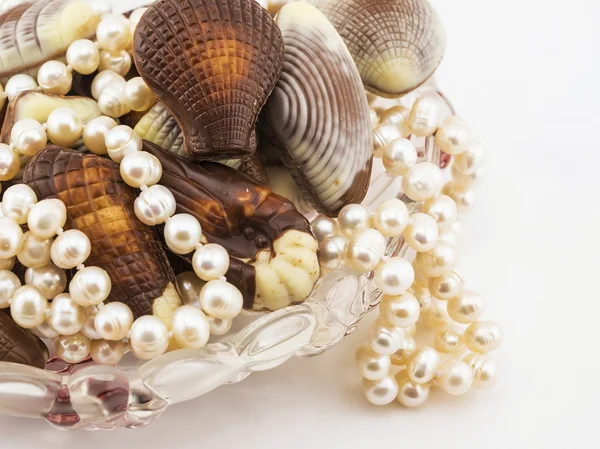 Chocolate seashells — Stock Photo, Image