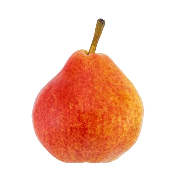 Ripe red pearripe red pear — Stock Photo, Image