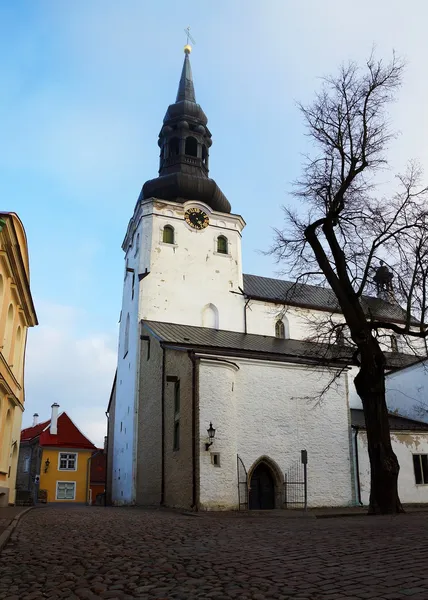 Tallinn lama, Estonia, Eropa — Stok Foto