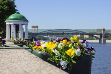 Gorki Parkı, moscow, Rusya Federasyonu