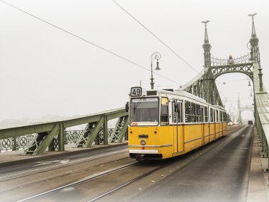Budapeşte, Macaristan (puslu sabah Özgürlük Köprüsü)