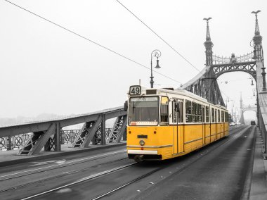 Budapeşte, Macaristan (puslu sabah Özgürlük Köprüsü)