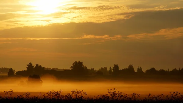 Verano brumoso mañana.hermoso paisaje de la mañana — Foto de Stock
