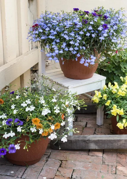 Terrassendekoration Blumen — Stockfoto