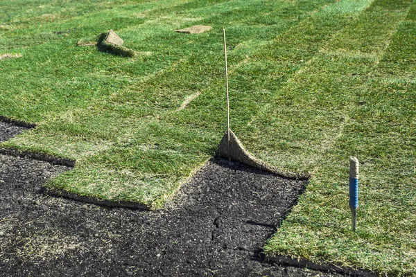 Laying sod — Stock Photo, Image