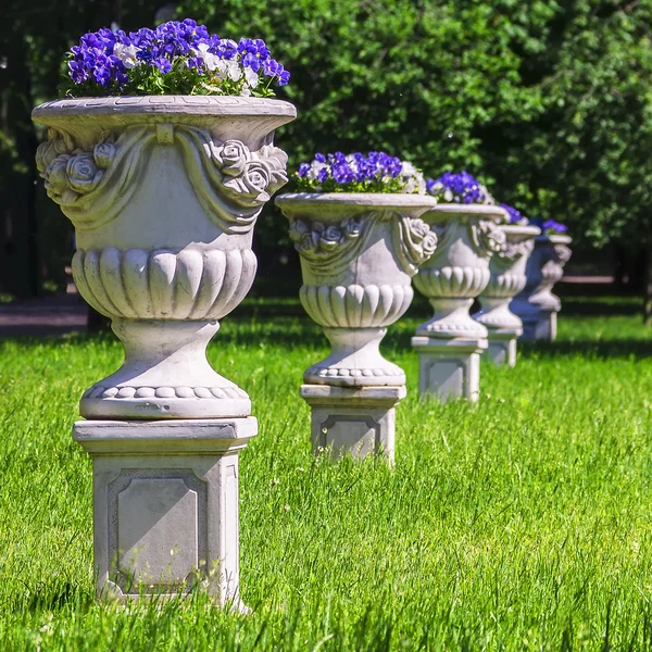 Vases with flowers in the park — Stock Photo, Image