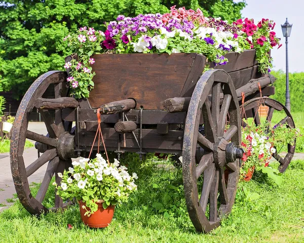Дерев'яний візок з квітами — стокове фото