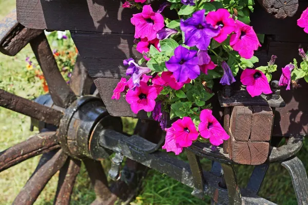 Carro de madera con flores — Foto de Stock