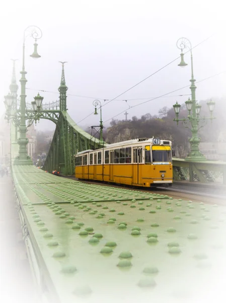 Freedom Bridge a Budapest, Ungheria (mattina nebbiosa ) — Foto Stock