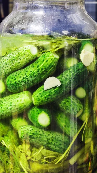 Pickles in a jar — Stock Photo, Image