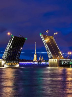 Palace bridge St Petersburg, Rusya Federasyonu