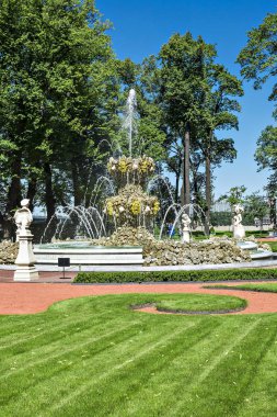 Yaz Bahçesi, st. petersburg, Rusya Federasyonu