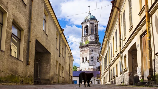 Старые улицы Выборга, Россия — стоковое фото