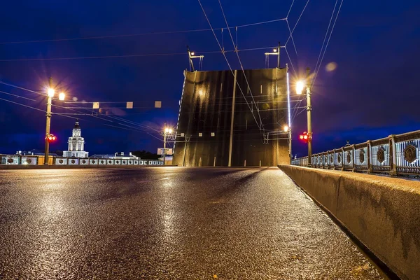 Paleis brug in Sint-petersburg, Rusland — Stockfoto