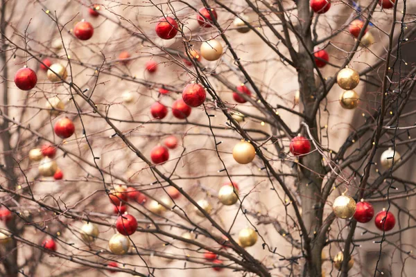 Festive street decoration. A lot of Christmas tree glass balls of red silver and golden color on the branches of trees. Selective focus.