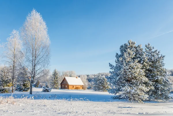 Landskap nära huset av målare repin. — Stockfoto