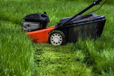 Lawn mower in garden clipart