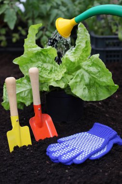 Bahçe için donatım