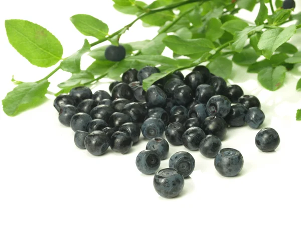 Blaubeeren, isoliert — Stockfoto